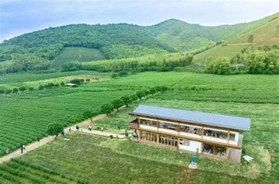 數字化治理新篇章 從宜興西渚鎮(zhèn)網站建設到高塍鎮(zhèn)2025年政府網站焦點